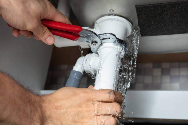 Best Professional water damage repair  in Grant, MN