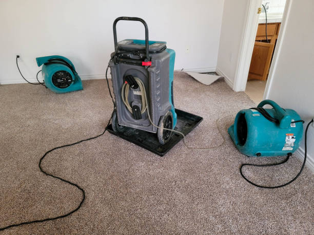 Best 24/7 water damage repair  in Grant, MN