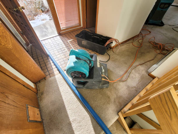 Carpet water damage restoration in Grant, MN