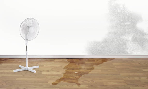 Grant, MN Water damage restoration Company