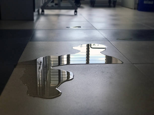 Best Water damage contractors near me  in Grant, MN