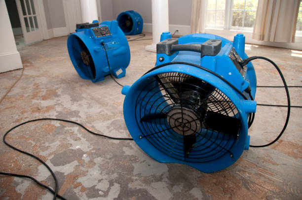 Best Flooded house restoration  in Grant, MN