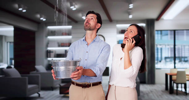 Water damage restoration experts in Grant, MN